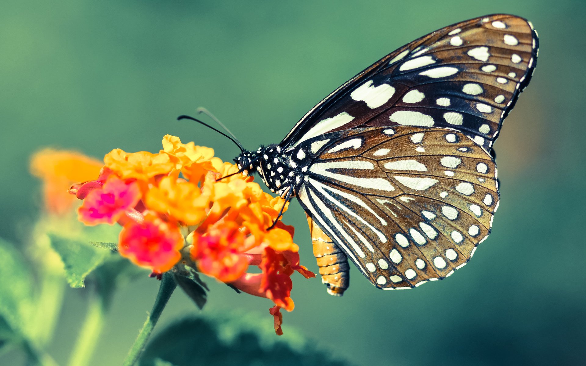 青少年电竞教育体系逐步完善,助力行业健康可持续发展,鼓励青少年电竞