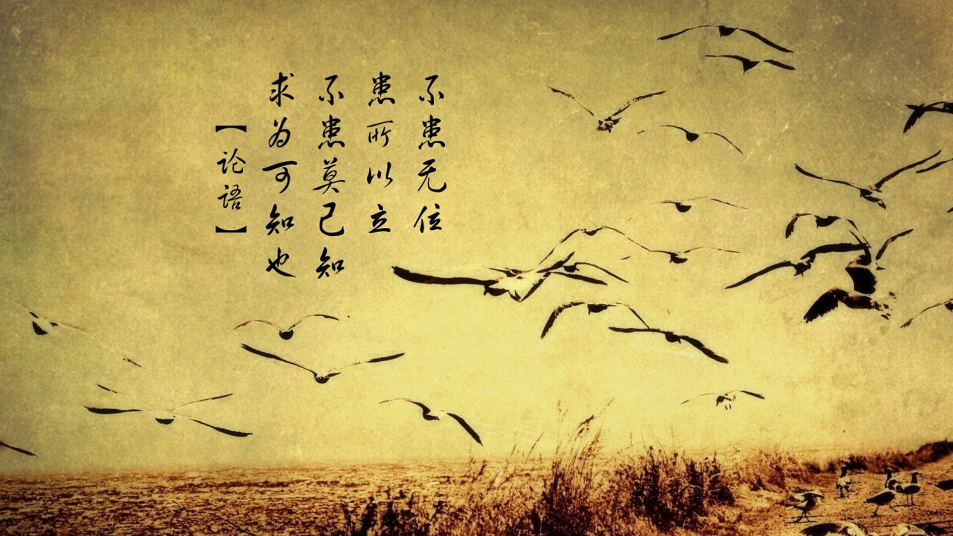 开云官方网页登录-公牛球员私下组织训练 团结力量倍增，公牛球队著名球员