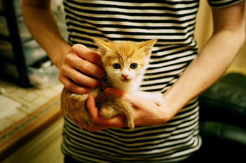 KAIYUNAPP-葡萄牙体育与赞助商续约成功，葡萄牙体育比赛