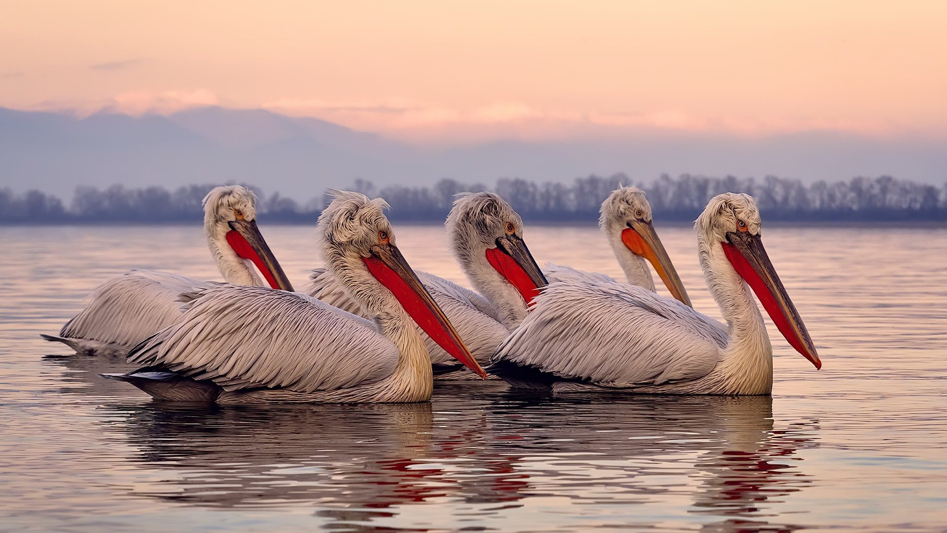 开云网站-国家队队员流动率过高影响配合默契