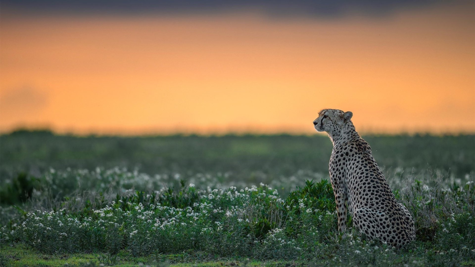 开云网站-城市马拉松引入节能赛事装备展示区，2021城市马拉松