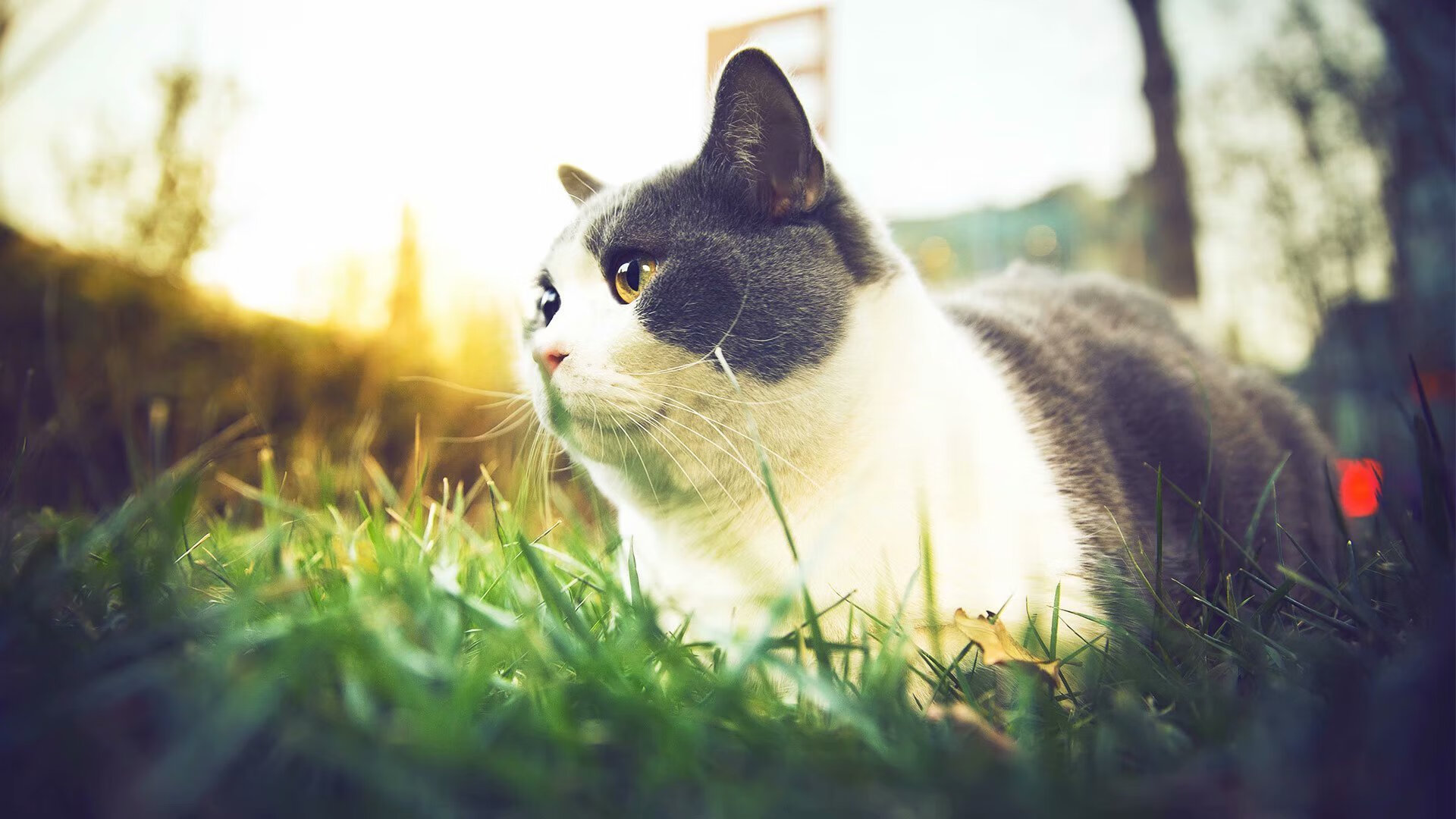 Kaiyun APP-青少年滑板巡回赛天津站落幕精彩不断，2020年滑板比赛