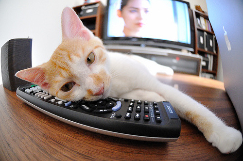 球队核心在赛后采访中坦言比赛强度远超预期全队拼尽全力,足球球队核心