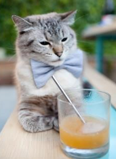 kaiyun官方入口登录-科里·简：其独特的边锋打法，成为全黑队无懈可击的战术选择，科里纳绰号