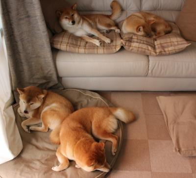 kaiyun.com-职业联赛推动球员社会责任教育树立良好形象，职业球员的素养