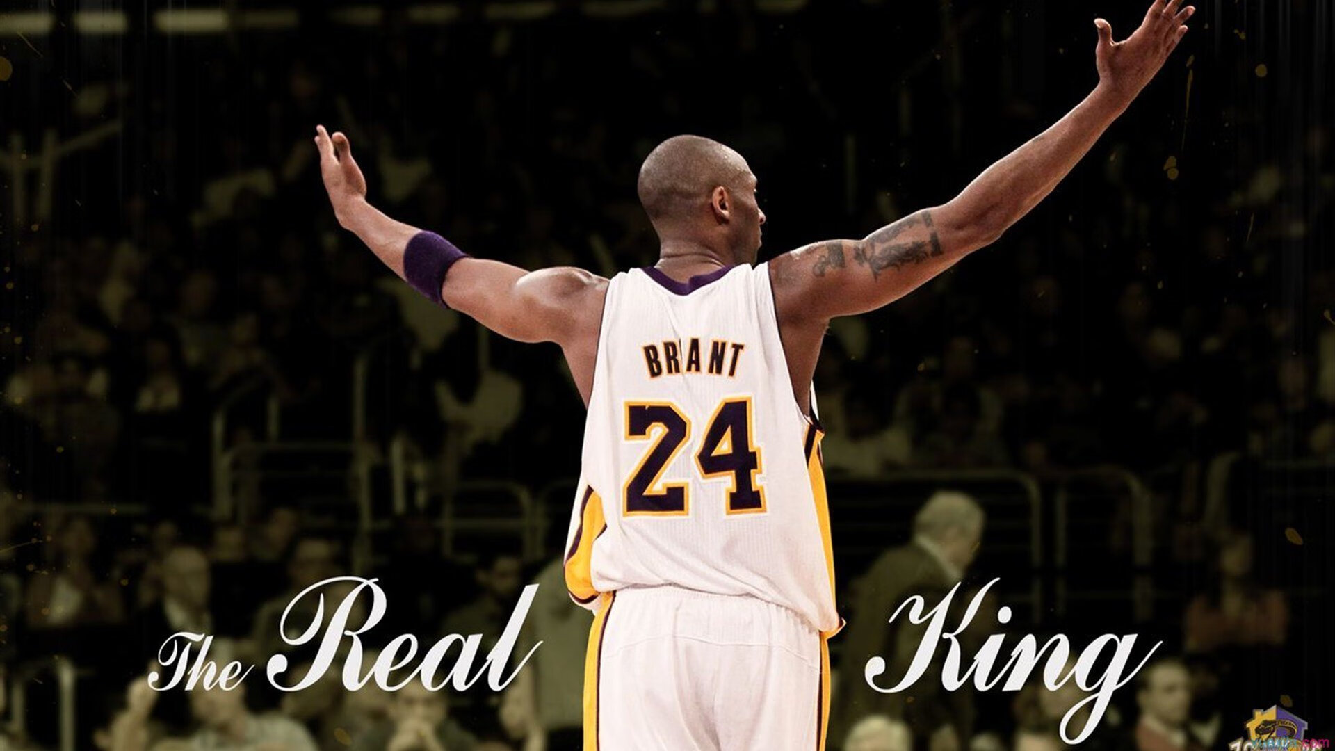 逆境中绽放:那些在危机中迎难而上的球员,面对危机挺身而出